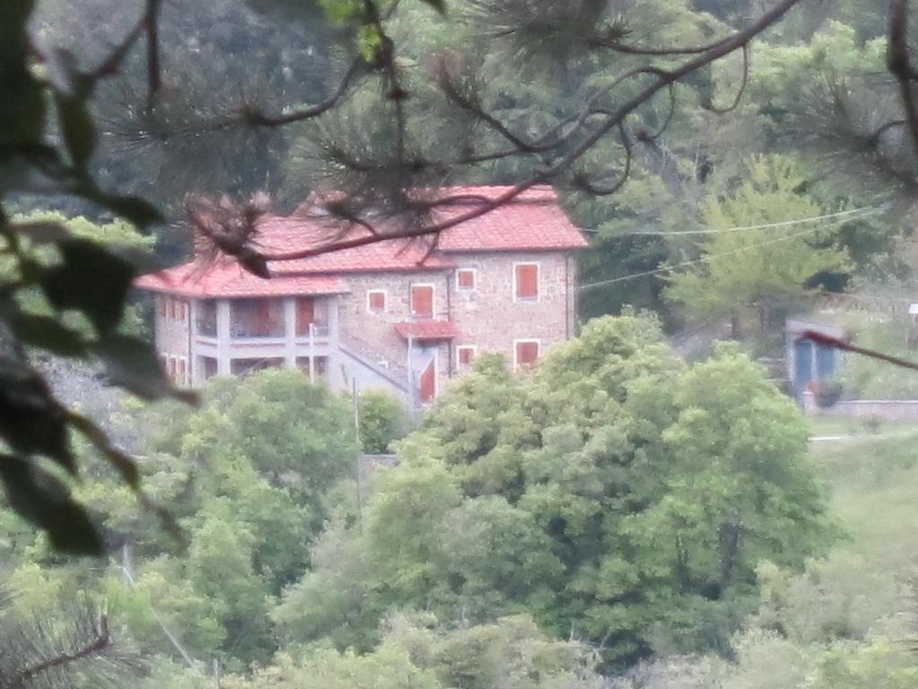 Bed And Breakfast Country Hill Arezzo Exterior foto