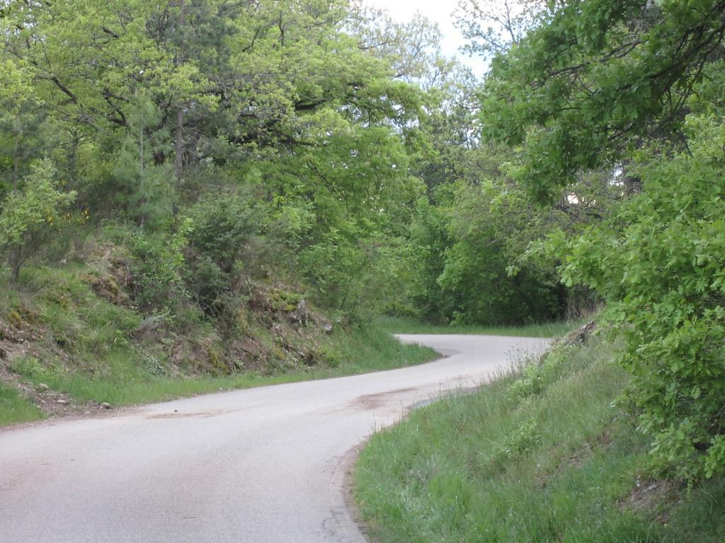 Bed And Breakfast Country Hill Arezzo Exterior foto