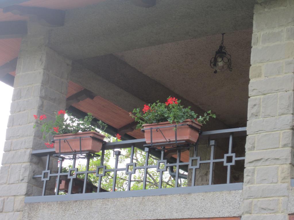 Bed And Breakfast Country Hill Arezzo Exterior foto