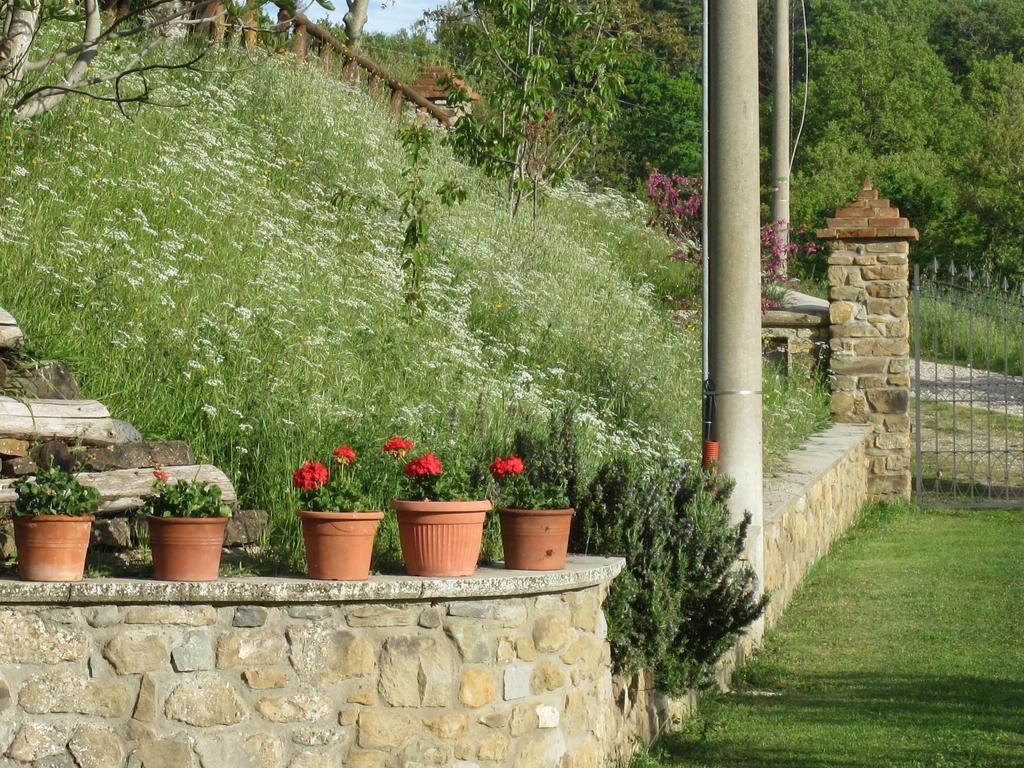 Bed And Breakfast Country Hill Arezzo Exterior foto