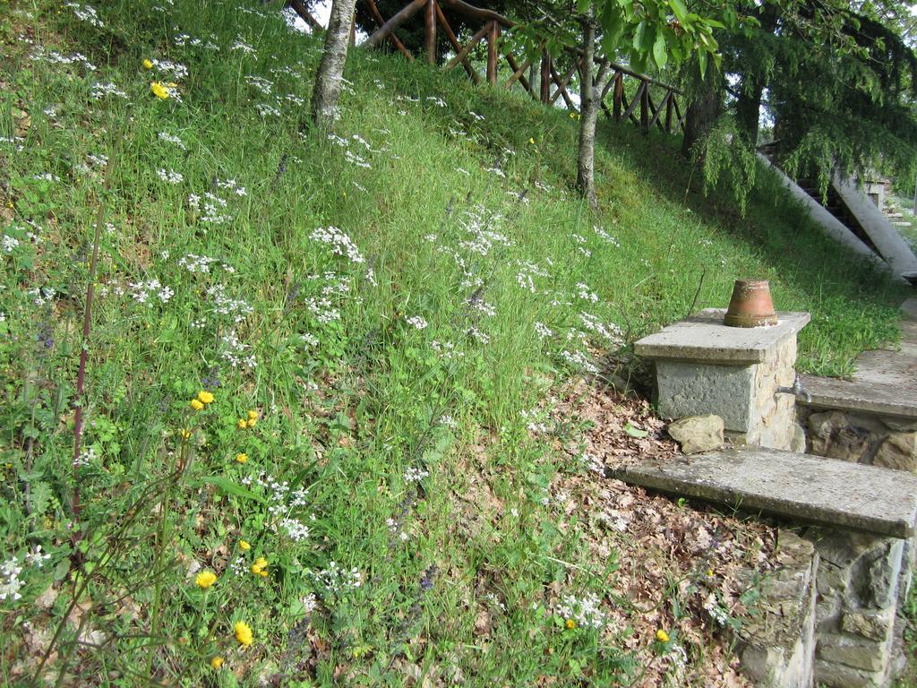 Bed And Breakfast Country Hill Arezzo Exterior foto